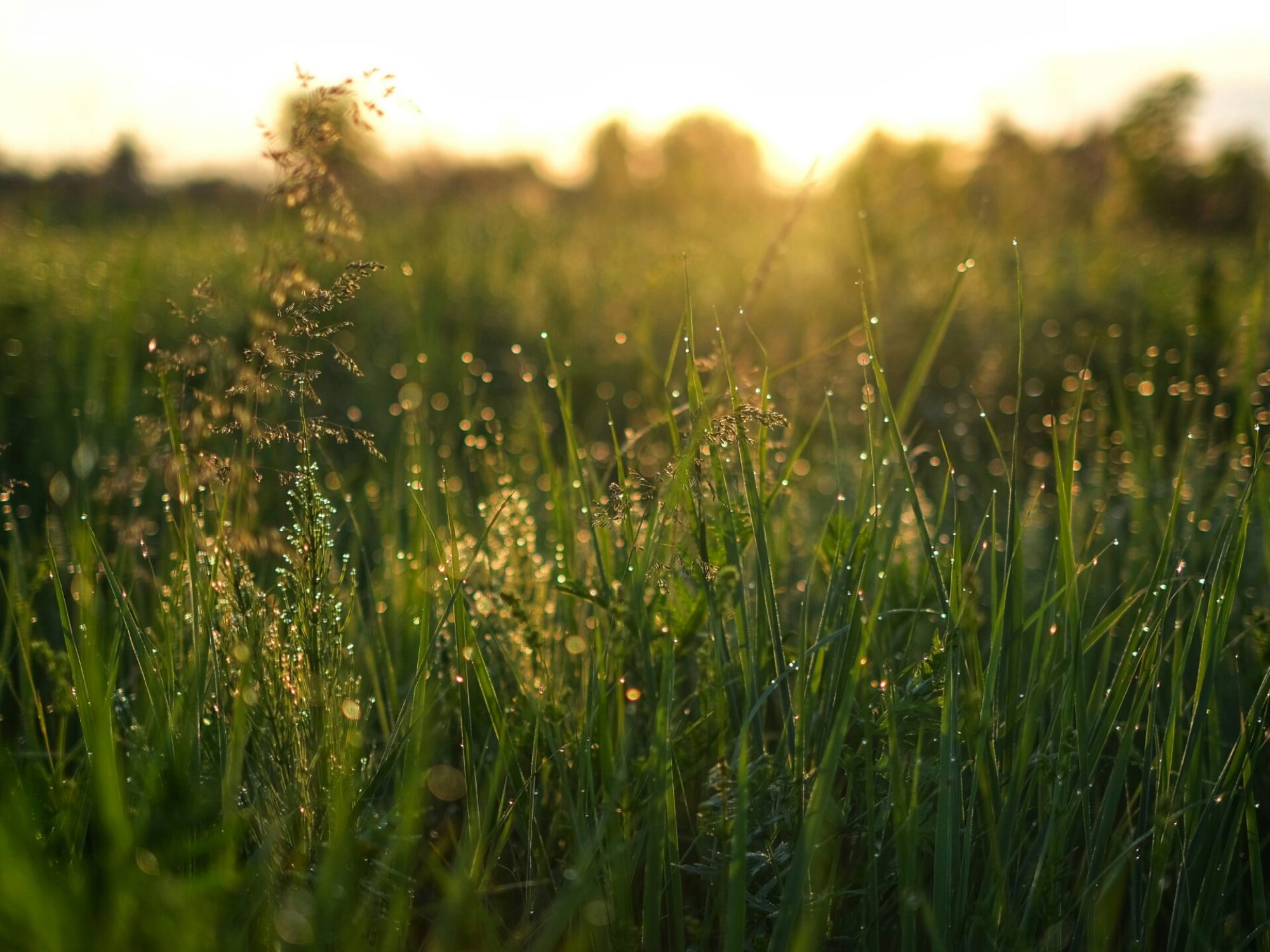 mark-tryapichnikov-2RixYR3cKTk-unsplash